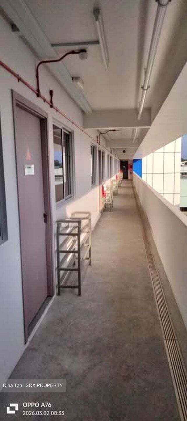 Loyang Industrial Estate (D17), Factory #530846991